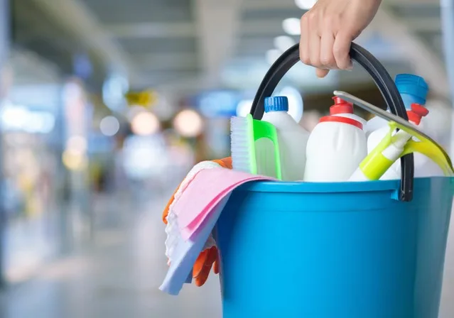 Entretien Ménager PurityPro photo 7